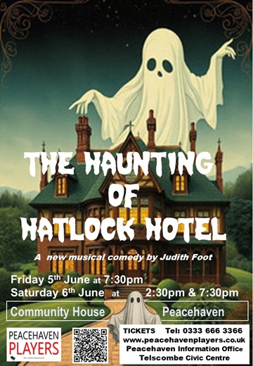Poster for The Haunting of Hatlock Hotel